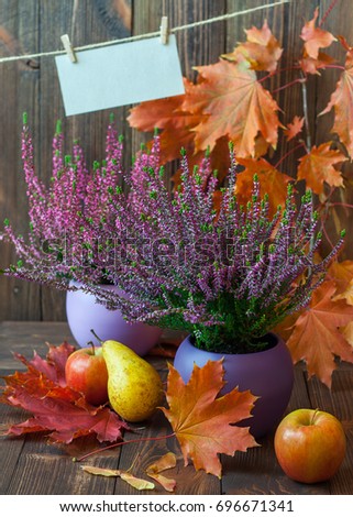 Blooming heather, colorful maple leaves and juicy fruits on a background of brown, wooden boards