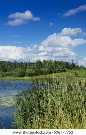 Beautiful summer landscape, lake, forest and blue sky