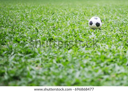 Football toys on the grass