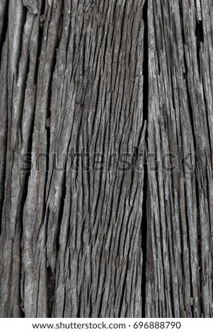 Surface eroded by time - Old wood detail background.