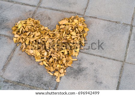 heap of dry leaves as a heart shape on the floors