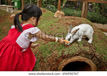 Young Girl Giving Food to White Rabbit on Park