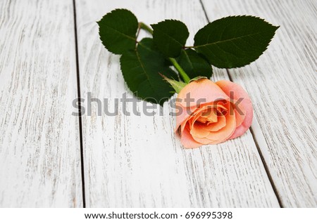  Pink rose on a old white wooden background