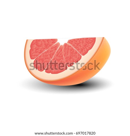 Illustration of Isolated realistic colored slice of juicy pink color grapefruit with shadow on white background