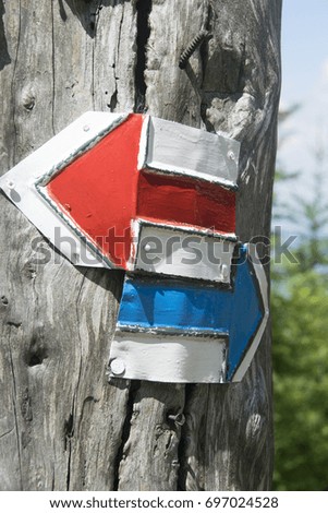 Colorful signs for hiking tourism in a forest. The symbol of marking on the tree trunk in the forest next to the tourist route.