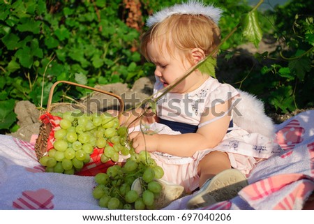 Little girl with angel wings sitting on rug at vineyard and with curiosity examining grapes in little crib.
