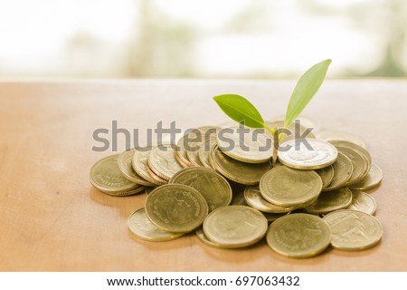 Plant growing from the coins. Money financial concept.
