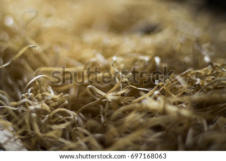 Picture of dried grass