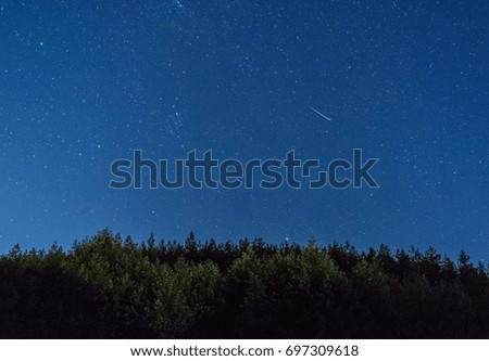 Shooting star over the forest