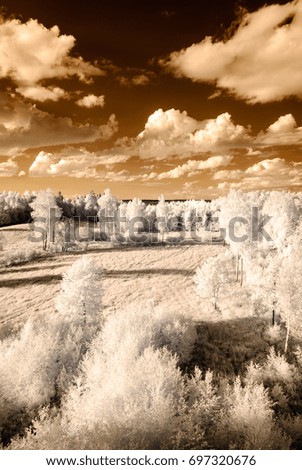 countryside fields and forests in summer. infrared image