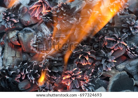 closeup to burning camp fire