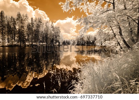 reflections in the lake in countryside summer. infrared image