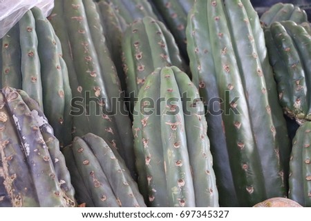 San Pedro Cactus, in the central market of Cusco, Perú Royalty-Free Stock Photo #697345327