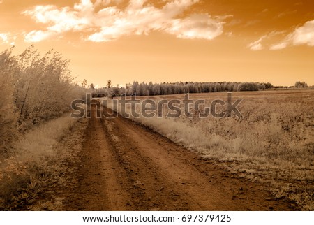 countryside gravel roads in summer. infrared image