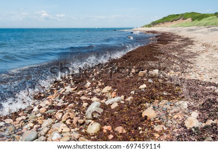 Rustic Rhode Island Coastline:  Seaweed covers a beach of sand, pebbles and rounded rocks on the west coast of Block Island, RI.
