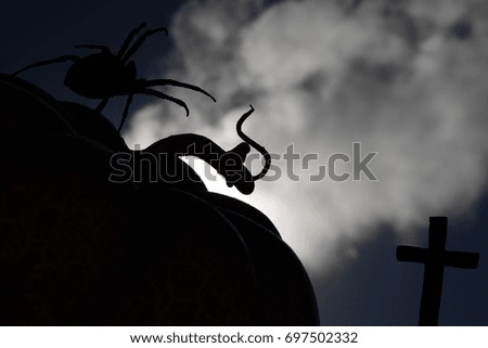 Spider on a Pumpkin in the Spooky Night Mist Silhouette
