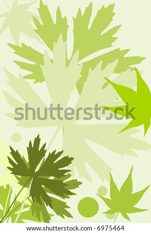 spring leaves (vector)