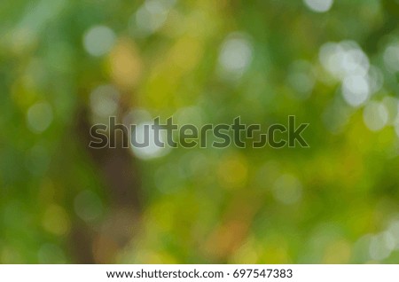 Green blurred background, the bokeh effect