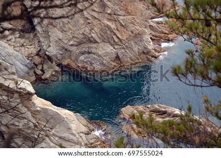 White rocks, sea, pine trees. Gamow Peninsula. Primorye. Russia.