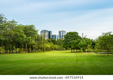 Beautiful morning light in public park with green grass field and green fresh tree plant at Vachirabenjatas Park Bangkok, Thailand Royalty-Free Stock Photo #697556914