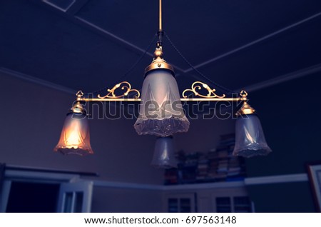Vintage glass lampshade with fly in a spooky house with books. Decorative light fixture hanging from the ceiling. Electric chandelier in an old house.
