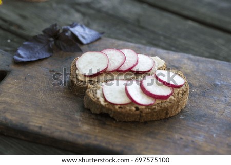 bread with cottage cheese, radish on rustic wood background
