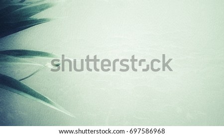 artificial flower on soft green grunge color paper in vintage style as a background