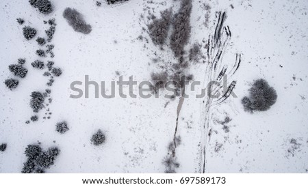aerial view of winter forest covered in snow. drone photography - panoramic image