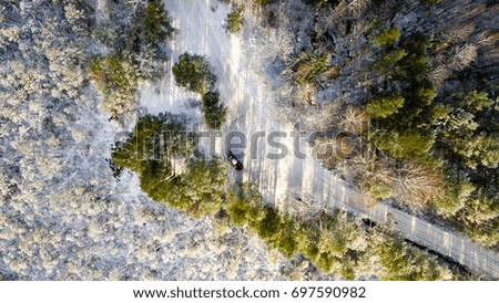 aerial view of snowy forest in sunny winter day with country road. drone photography - panoramic image