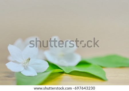 The flowers are white with a sweet little flower with a pleasant aroma.