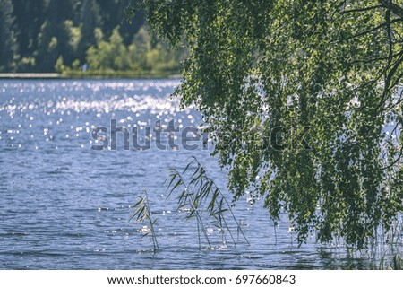 reflection of clouds in the lake with forest  and birch trees in foreground and horizon line. blur background - vintage film effect