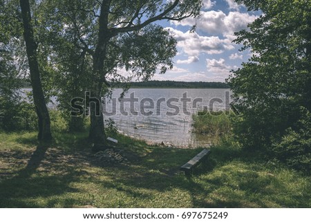 overcast day by the lake with water grass and blur background - vintage film effect