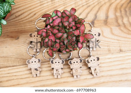 Close up Souvenir Key Holder Dolls and wood key chain