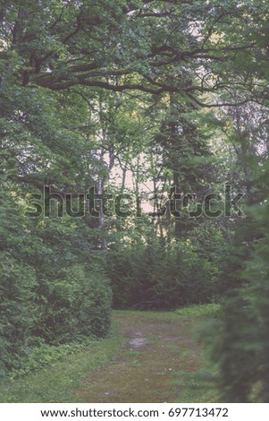 dark gravel pathway road in evening forest with low light effect in green summer - vintage film look
