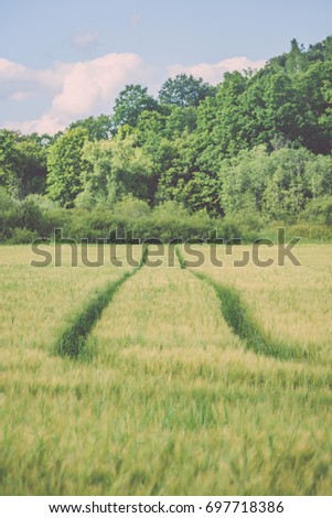 tractor tracks in crop field with green wheat and blue sky - vintage film look