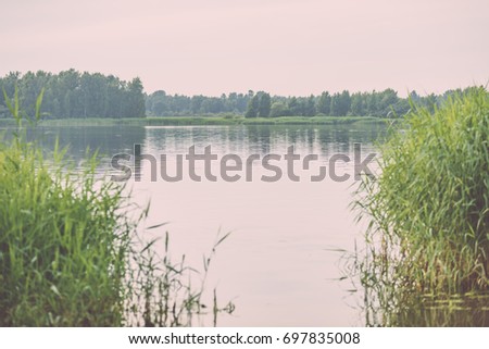 overcast day by the lake with water grass and blur background - vintage film look