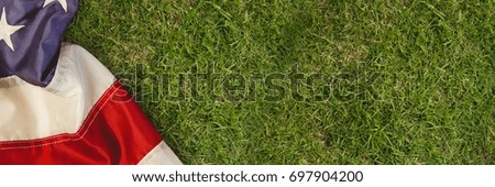 Digital composite of USA flag on grass