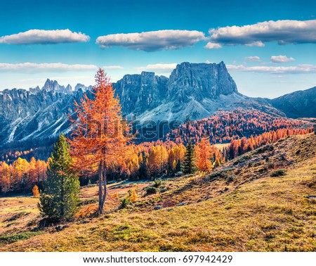 Fantastic sunny view of Dolomite Alps with yellow larch trees. Colorful autumn scene of Ponta dei Lastoi mountain range. Giau pass location, Italy, Europe. Beauty of nature concept background.
