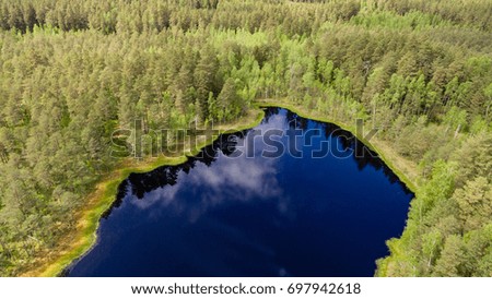 drone image. aerial view of rural area with blue lake and forest in sunny summer day - panoramic image