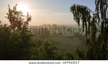 drone image. aerial view of morning mist over green forest in summer with sunrise and rays of light - panoramic image