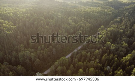 drone image. aerial view of rural area with forest river in summer morning - panoramic image