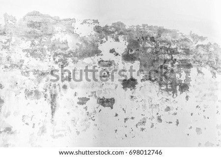 Abstract white cement wall texture and background - high quality picture