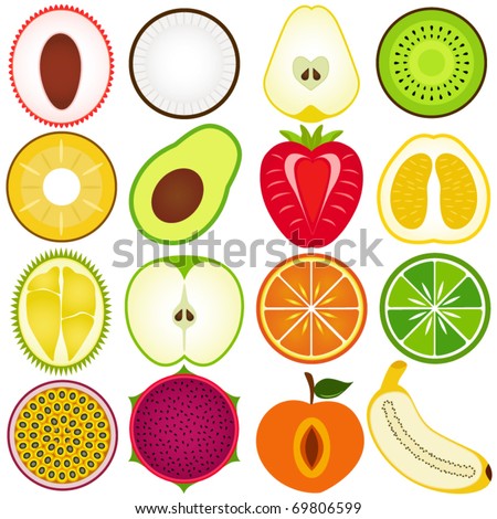 Vector of fresh fruit, vegetable cut in half, cross section. Set of cute and colorful icon collection isolated on white background - lychee coconut pear kiwi pineapple avocado strawberry pomelo durian