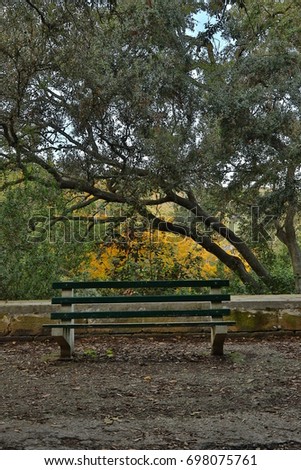 The Expectation
In this picture I wained to show the time, that stopped at one moment for this old bench, expecting someone to sit on it.
I took this picture in Buskett Gardens in Malta.
