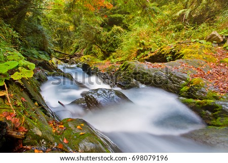 Beautiful autumn scenery in Taiwan, Asia. The fallen leaves make the stream a Beautiful and colorful picture, at Taroko National Park, Taiwan,Asia.