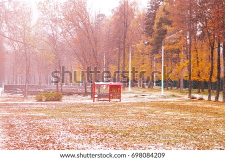 An autumn park is in fog, beautiful light sun