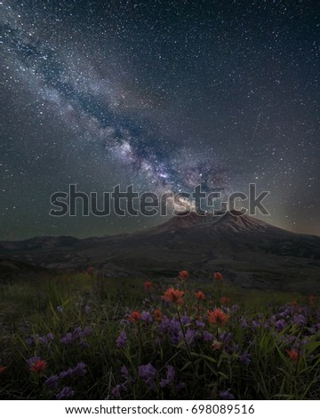 Wild flowers and Mount Saint Helens under Milky way