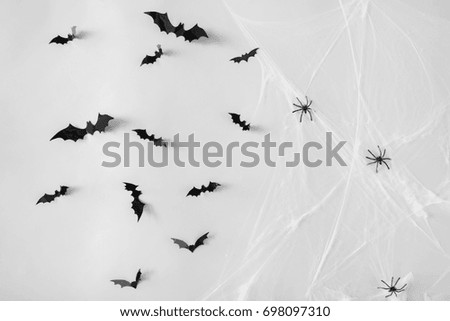 halloween, decoration and scary concept - black flying bats and spiders on web over white background