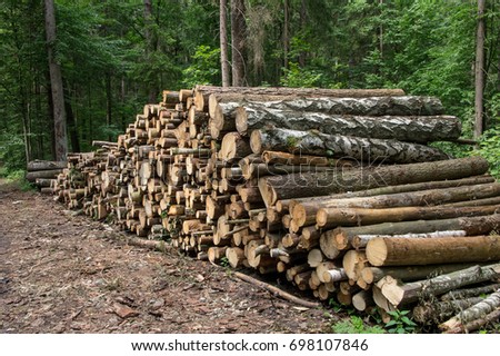 Stack of spilled logs in the forest, side view. Royalty-Free Stock Photo #698107846