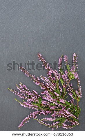 Wild flowers on black slate 